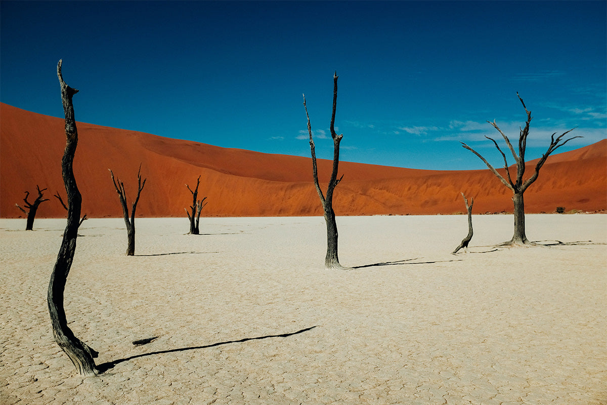 Deadvlei, Sossusvlei, Namibia