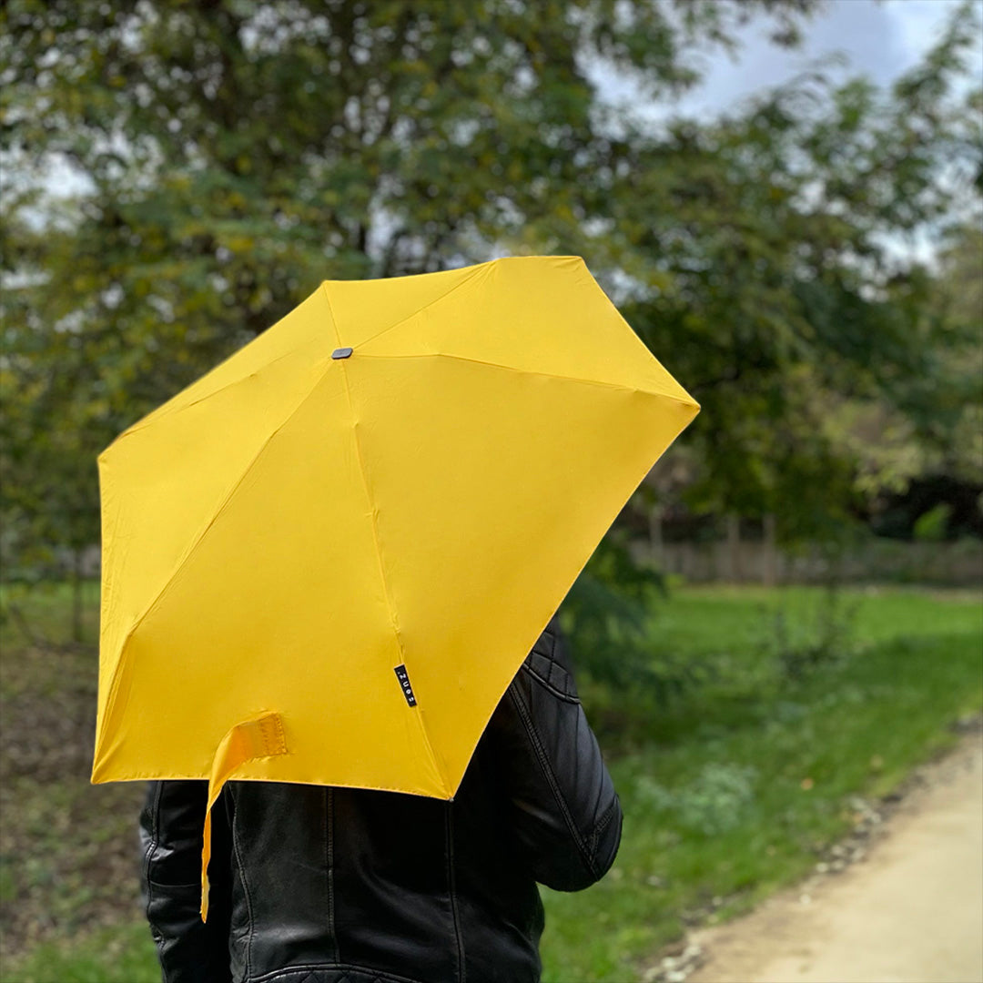 #couleur_daily yellow