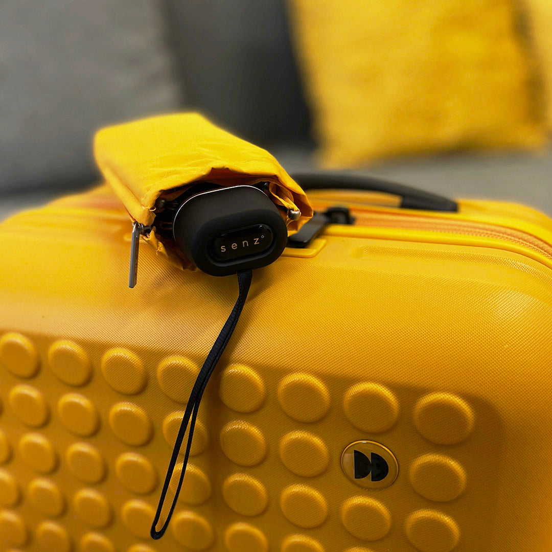 #couleur_daily yellow