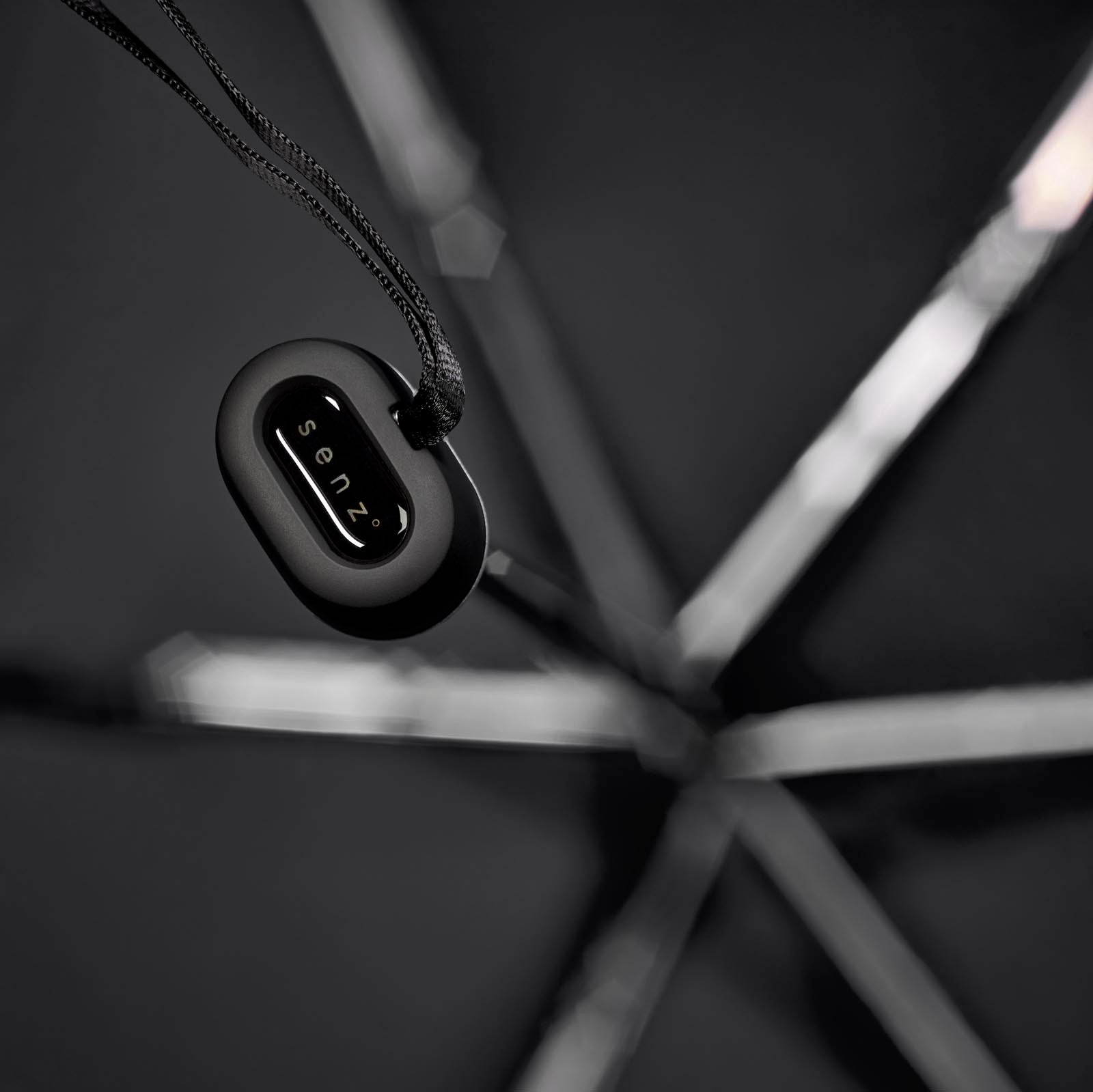 #couleur_pure black