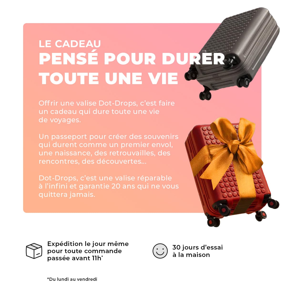 Valise Cabine Réparable à L'infini