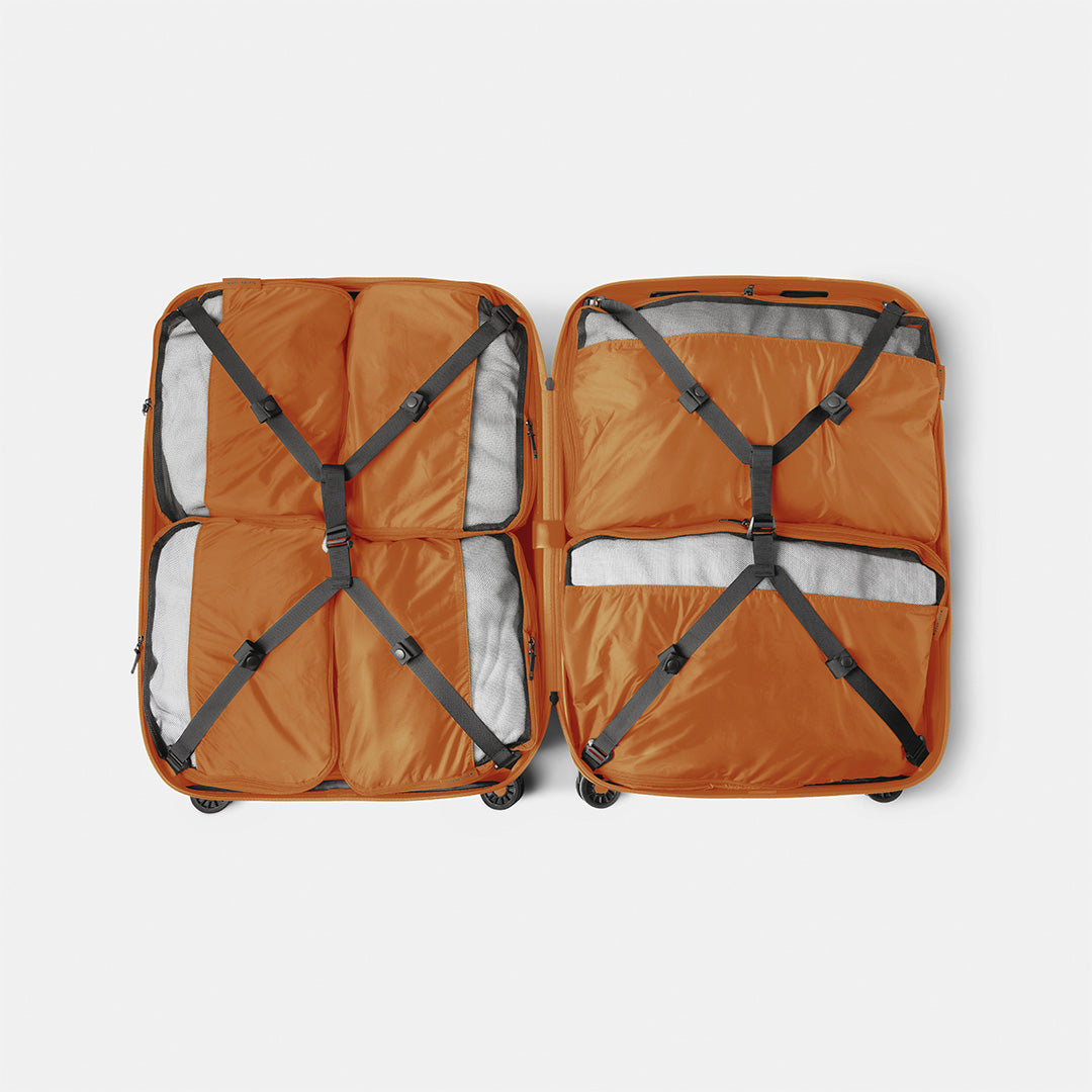 #couleur_orange tazzarine